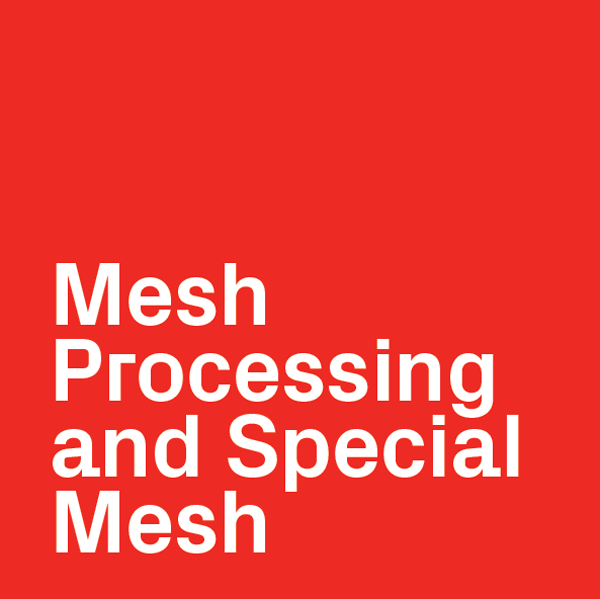 Mesh Processing and Special Reinforcing Mesh